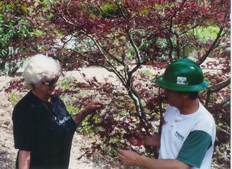A man trimming a small tree with pink flowers next to an elderly woman