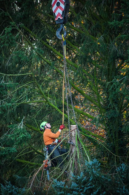 A man with climbing gear using a crane to move a large branch
